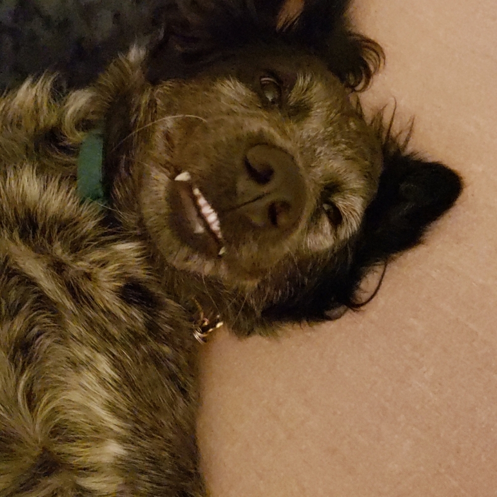 Meet your Posher, Jess